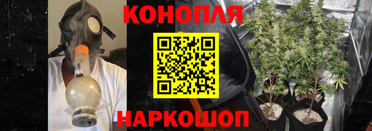 Конопля тримм  Вход с VPN  МАРИХУАНА марихуана  Шишки марихуана планчик  Строитель 